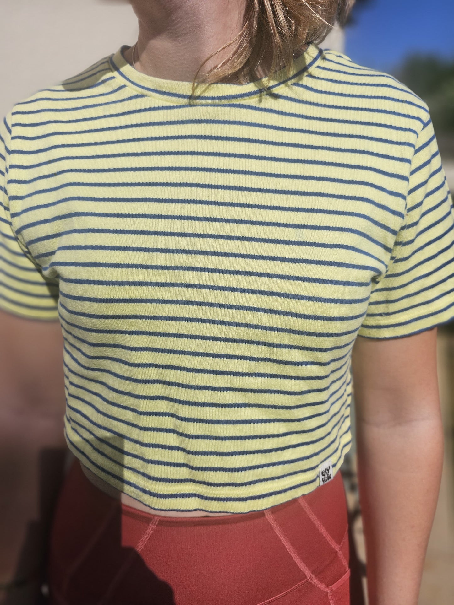 Cute Lucy & Yak Short Sleeved Cropped Striped T-Shirt - L/Large