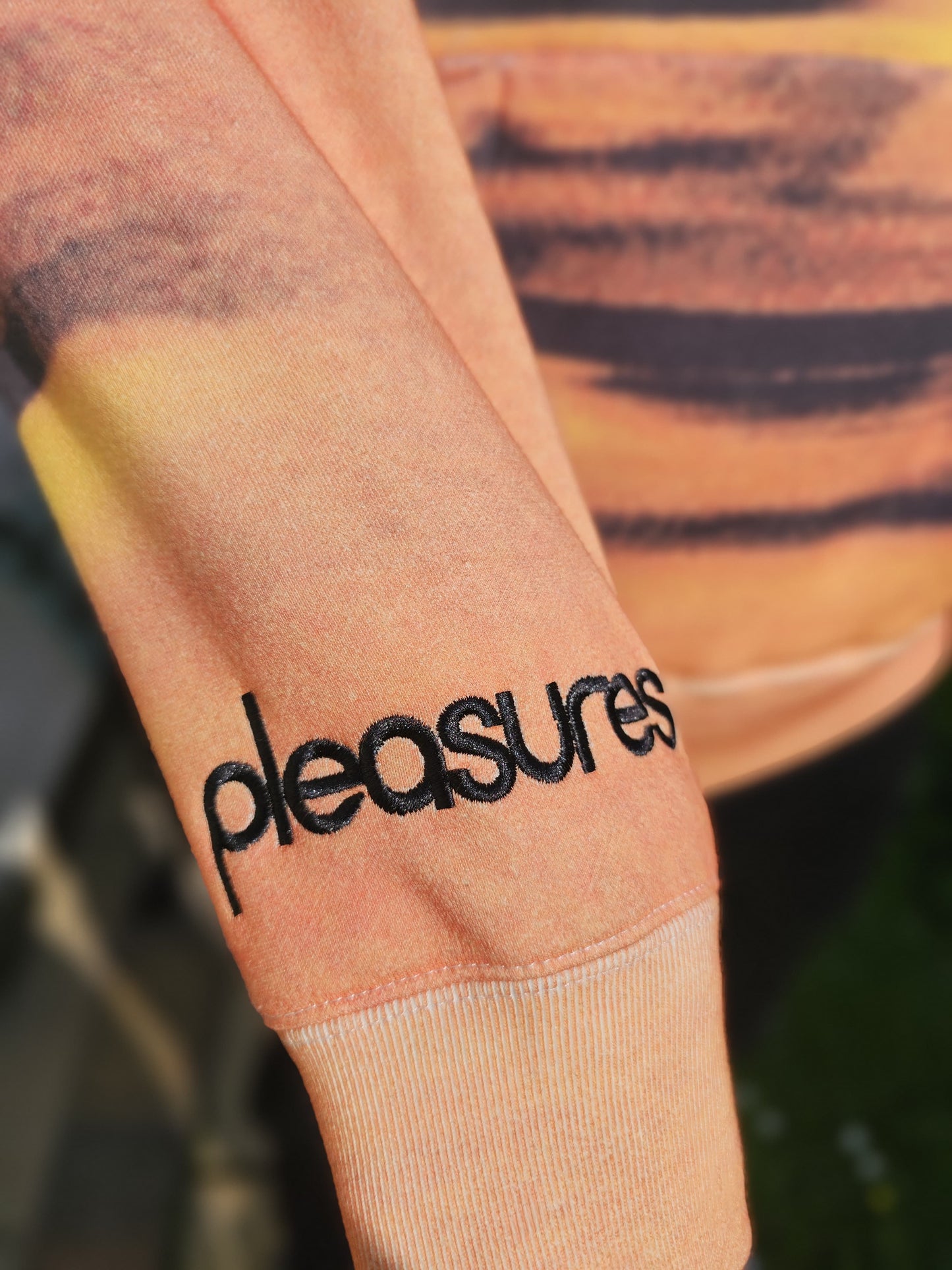 Limited Edition Blur X Pleasures Collab Pullover Embroidered Hoodie - L/Large