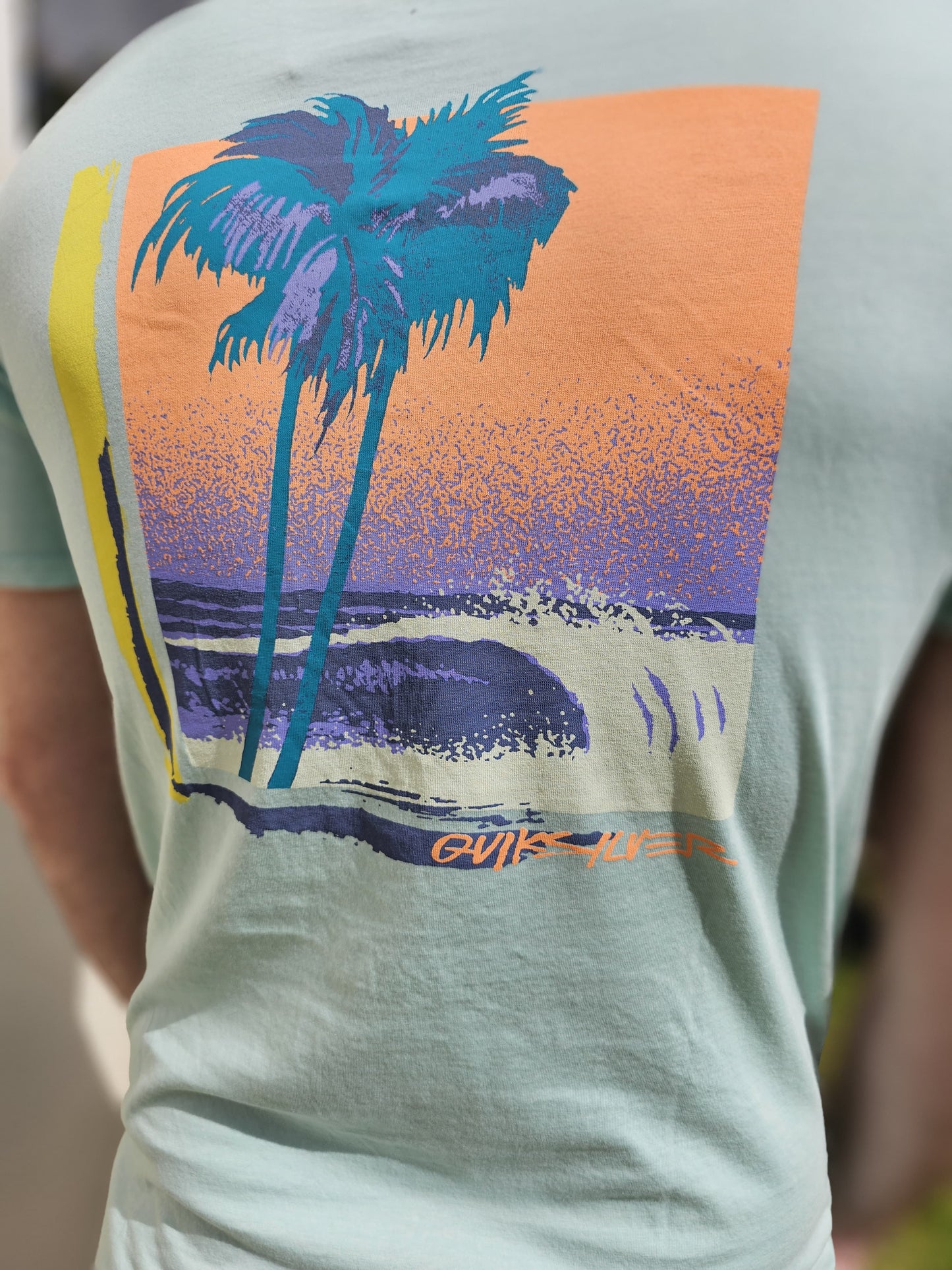 Quiksilver Large Tropical Back Print Short Sleeve T-Shirt - S/Small M/Medium
