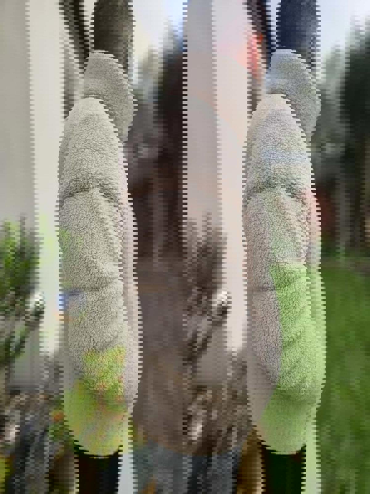 Columbia Puffect Full Zip Sherpa/Teddy Bear Fleece Jacket - M/Medium