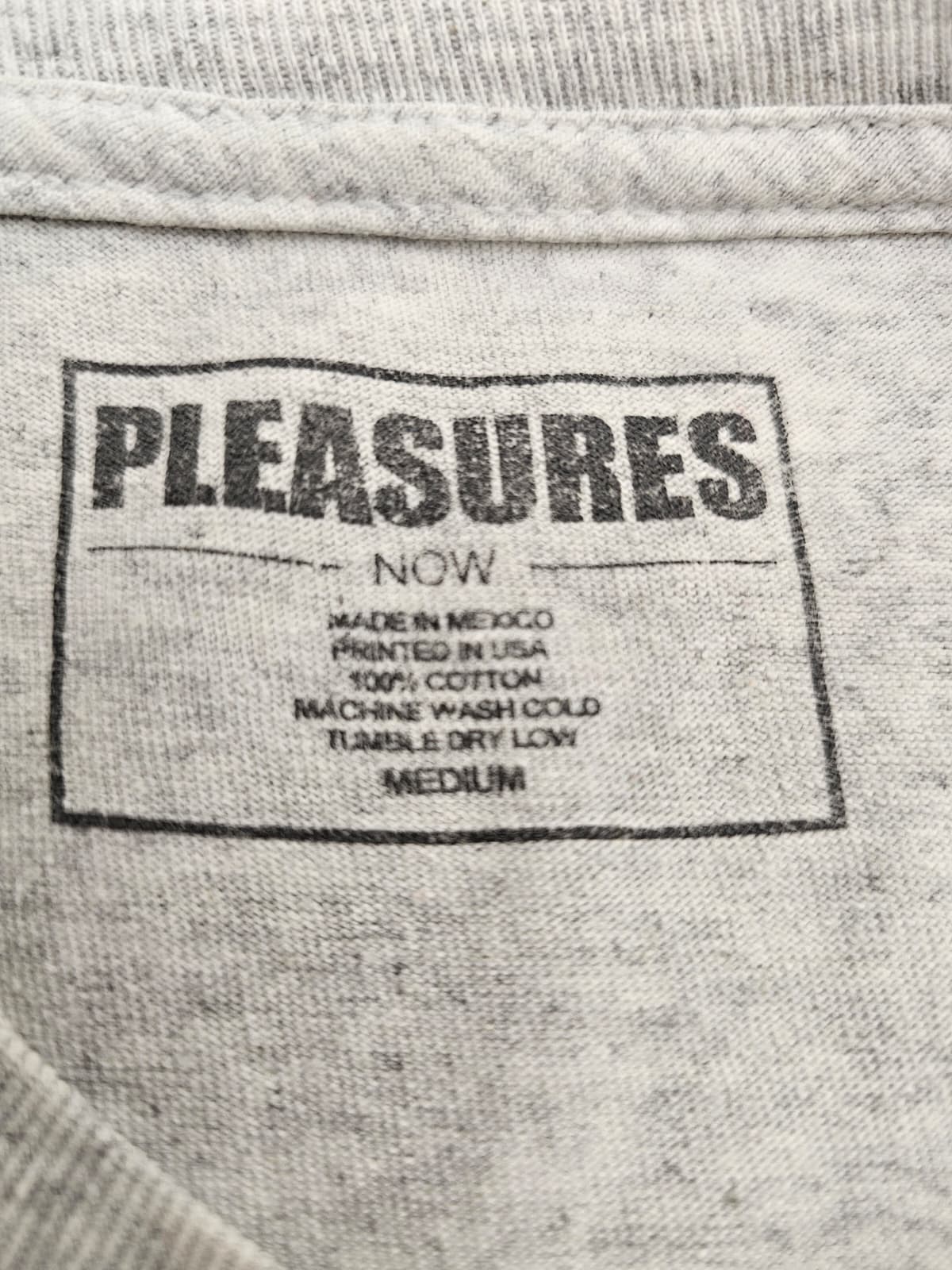 Pleasures NOW Mens Short Sleeve Printed T-Shirt - M/Medium - Grey