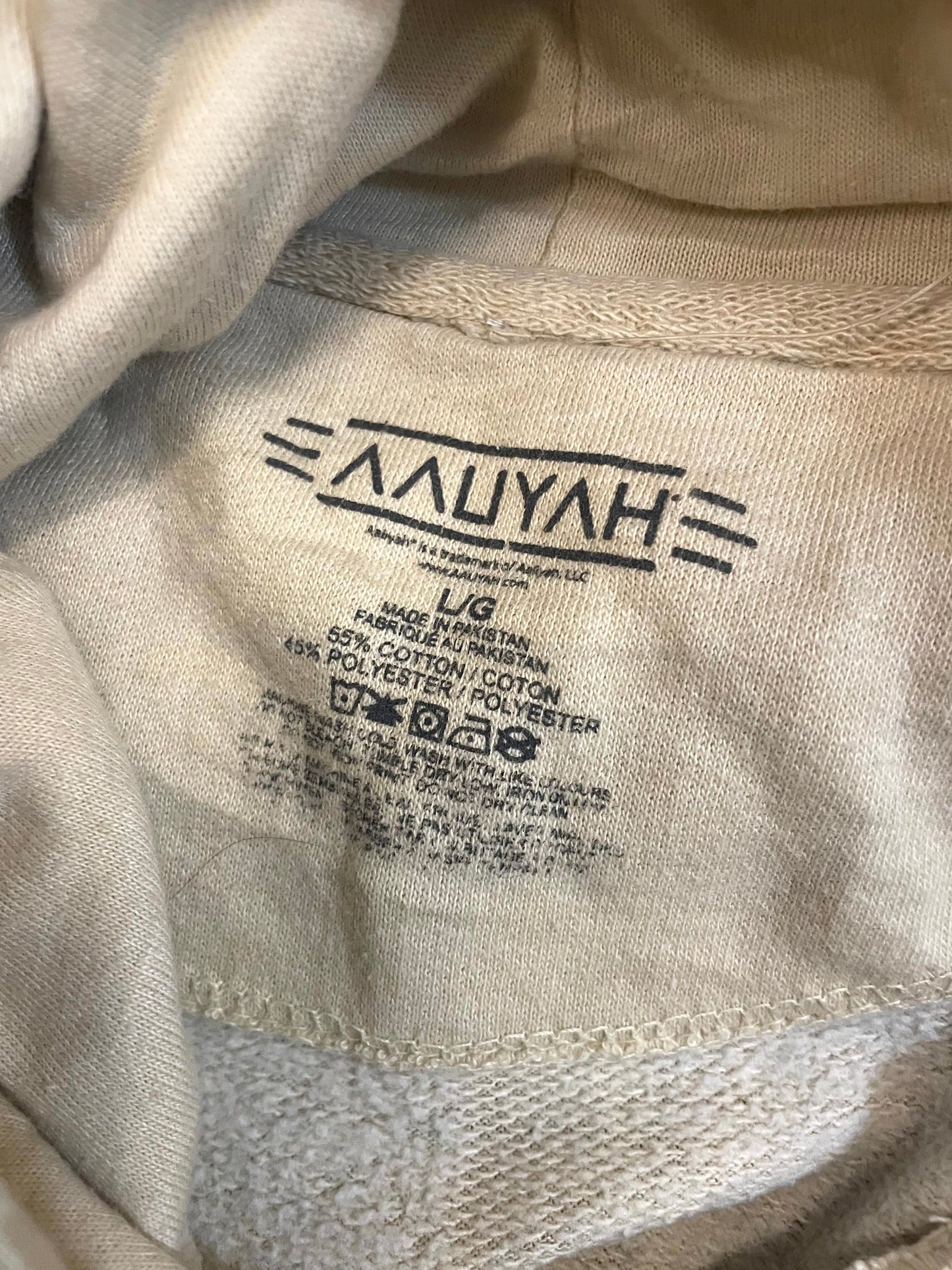 Aaliyah Haughton RnB Pullover Hoodie - L/Large