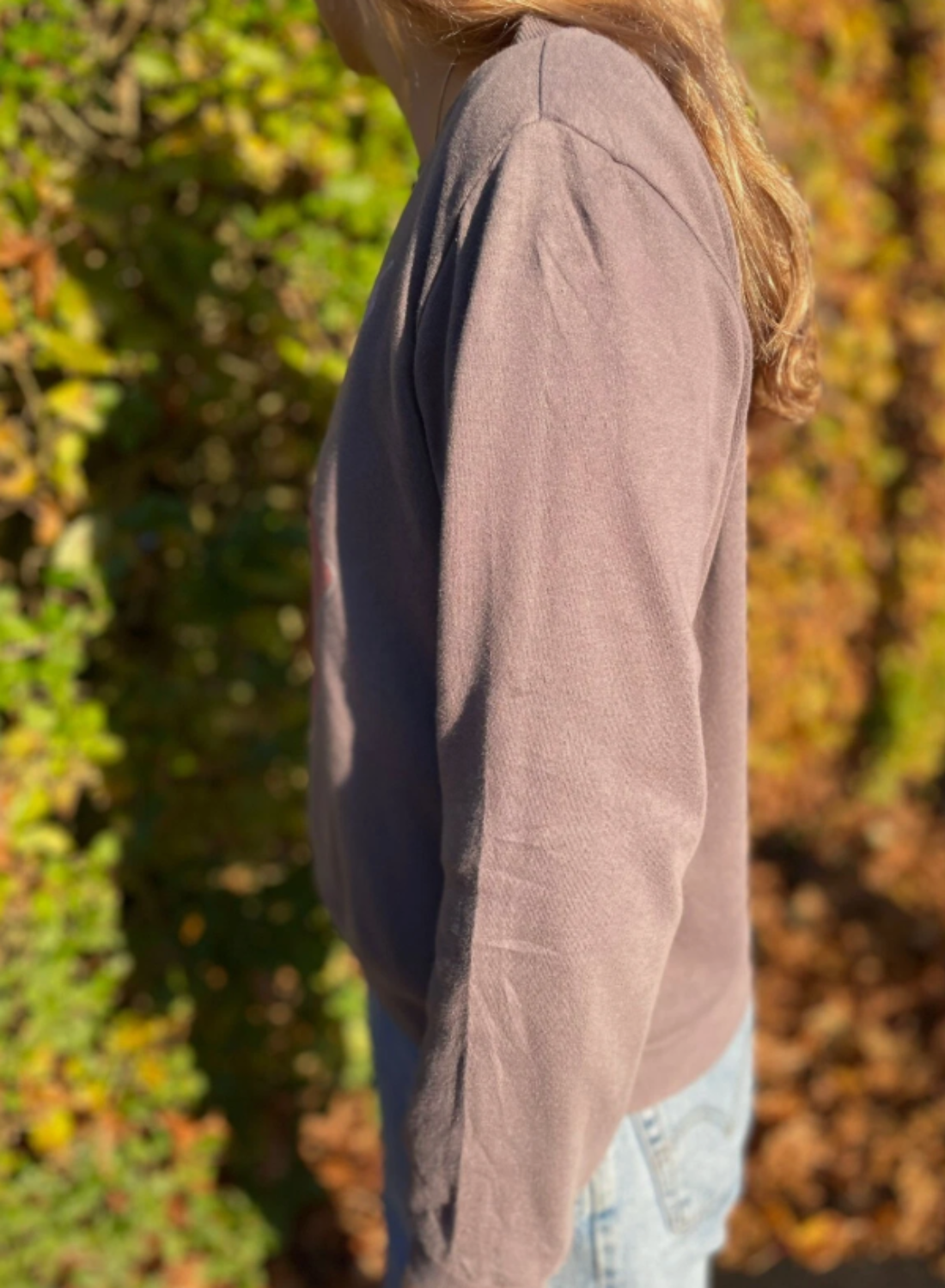 The Rolling Stones Brown/Pink Pullover Sweatshirt Jumper Pullover - M/Medium