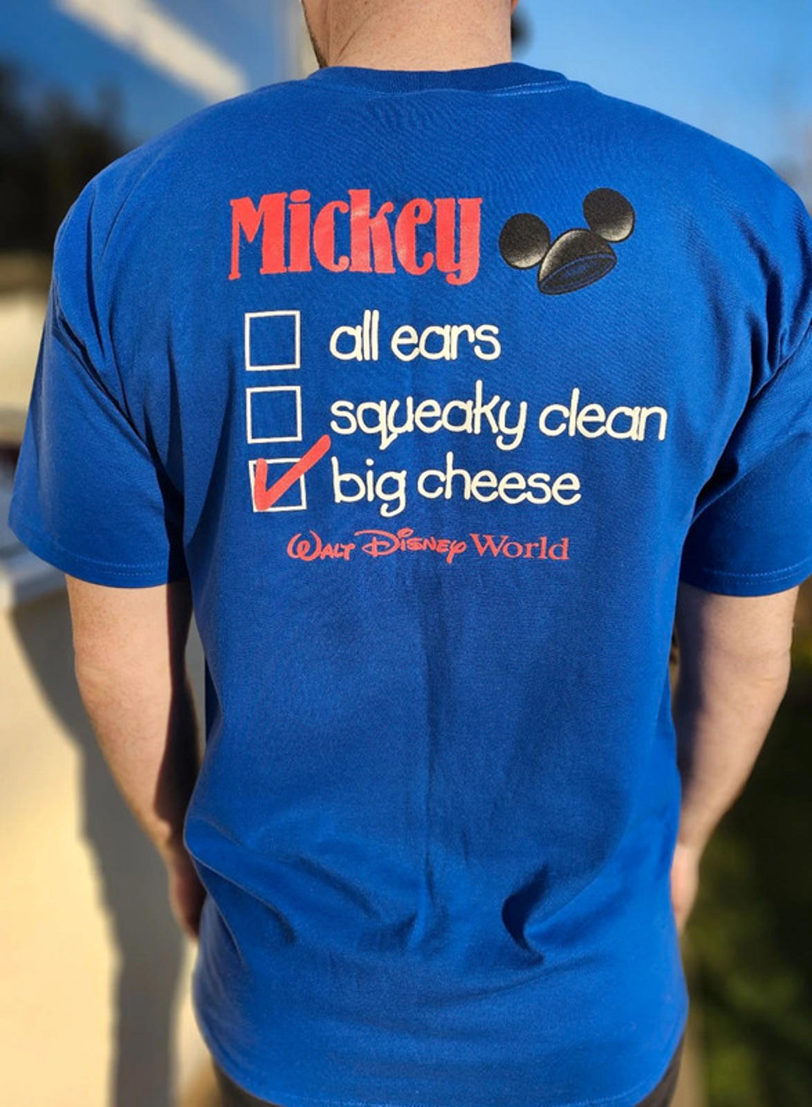 Genuine Walt Disney World Blue Mickey Mouse Short Sleeve T-Shirt - M