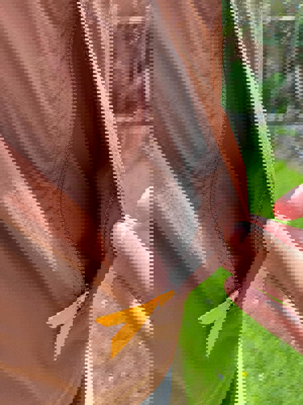 Berghaus Dean Street Unisex Overhead 1/2 Zip Windbreaker Jacket Jacket - M