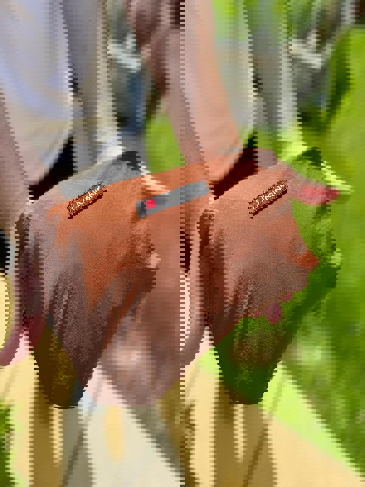 Berghaus Dean Street Unisex Overhead 1/2 Zip Windbreaker Jacket Jacket - M