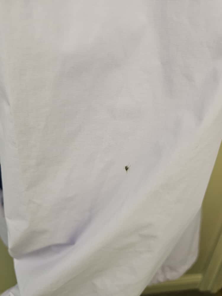 Berghaus Women's Mayeurvate Short Waterproof Jacket - XL/Extra Large