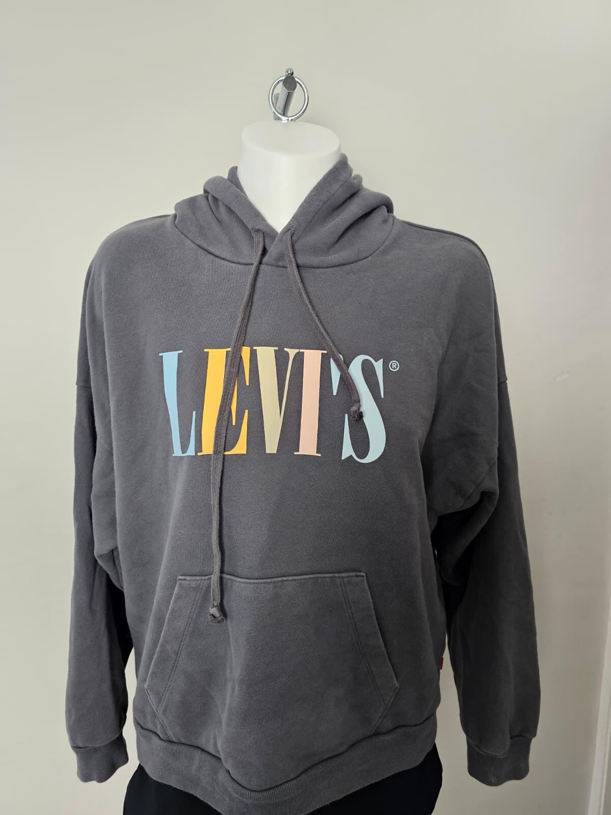 Levi's Women's Washed Grey Big Pastel Spell out Pullover Hoodie - L/Large