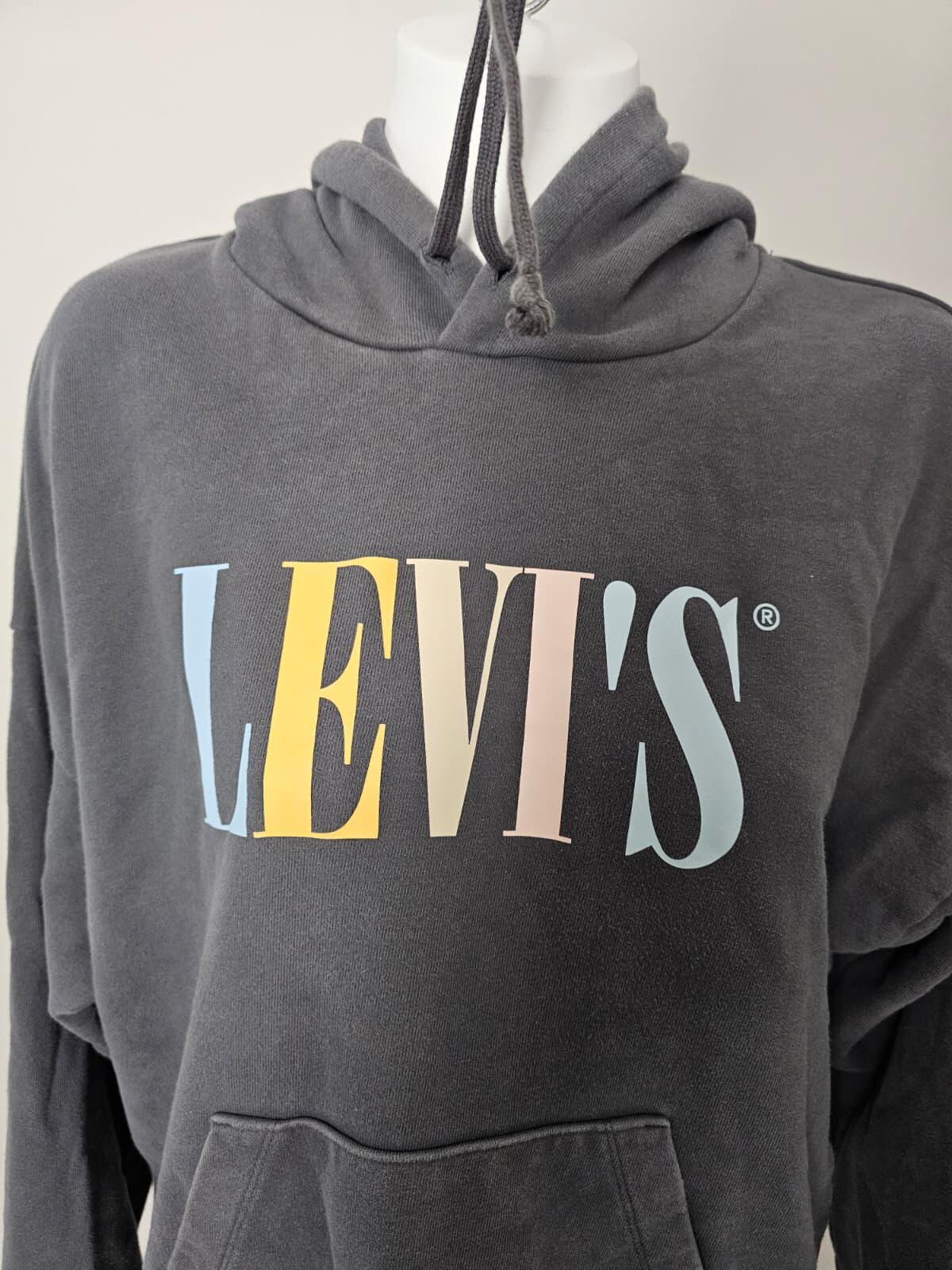 Levi's Women's Washed Grey Big Pastel Spell out Pullover Hoodie - L/Large