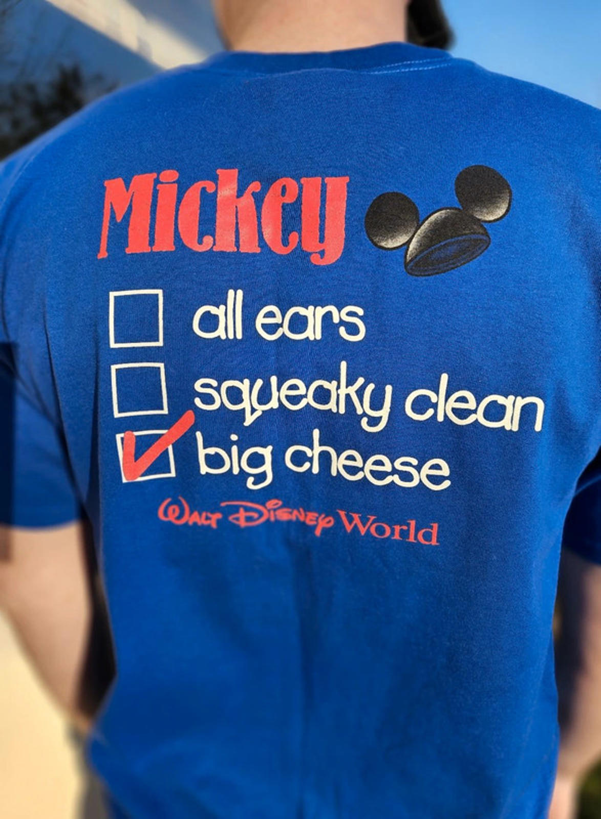 Genuine Walt Disney World Blue Mickey Mouse Short Sleeve T-Shirt - M